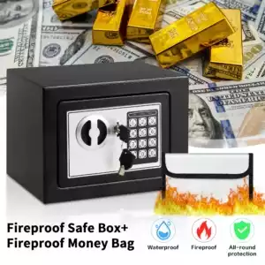 Deli 0.2 Cubic Feet Electronic Digital Safe Box, Steel Money Safe Box for Home with Fireproof Money Bag for Cash Safe Hidden